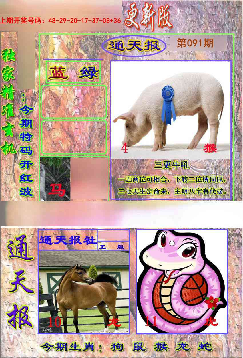 091期新通报[图]