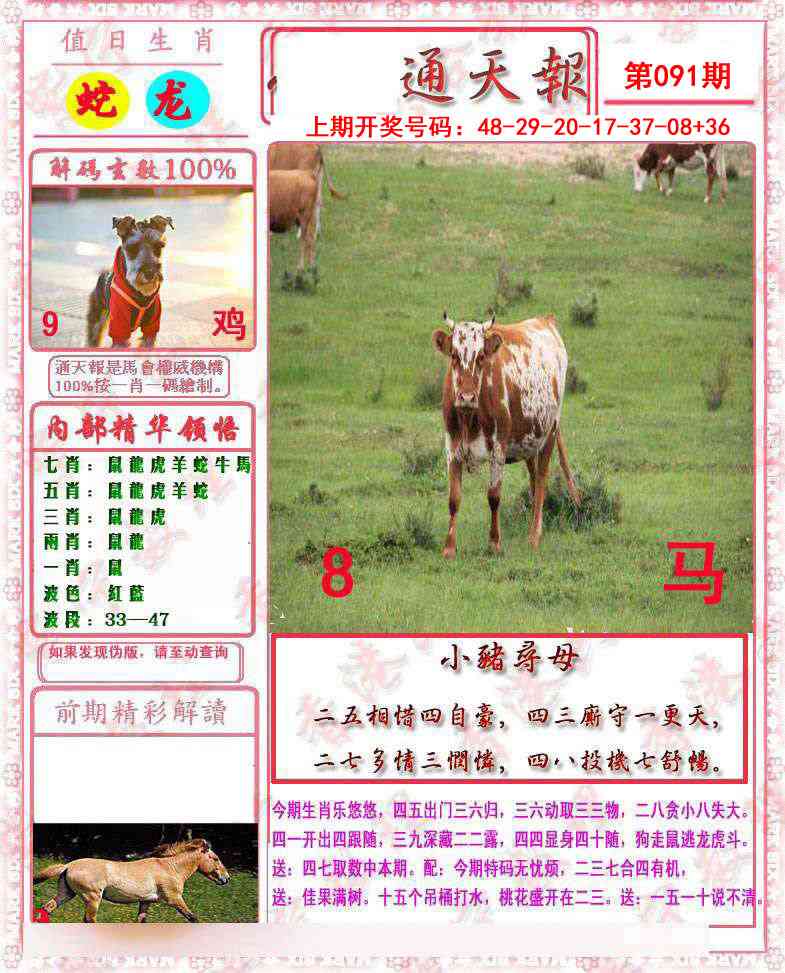 091期马经通天报[图]