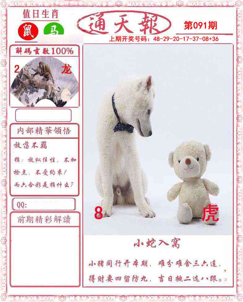 091期正版通天报[图]