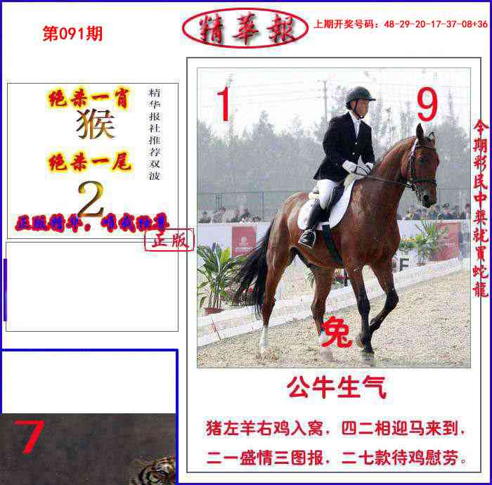 091期新精华报报[图]